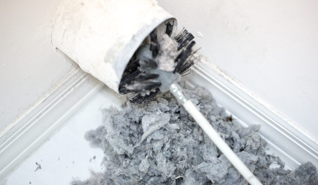 Your Guide to Safe Animal Removal from Your Chimney